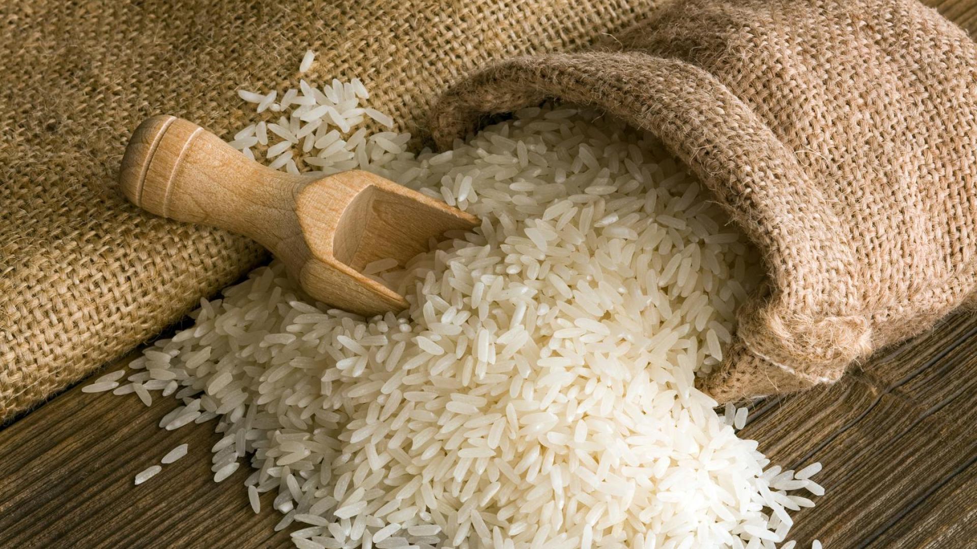 Hướng dẫn Kinh doanh buôn bán gạo Sạch Online (Có nên bán gạo)
