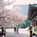Cách kiếm tiền của người Nhật từ những khu vườn ngắm cảnh