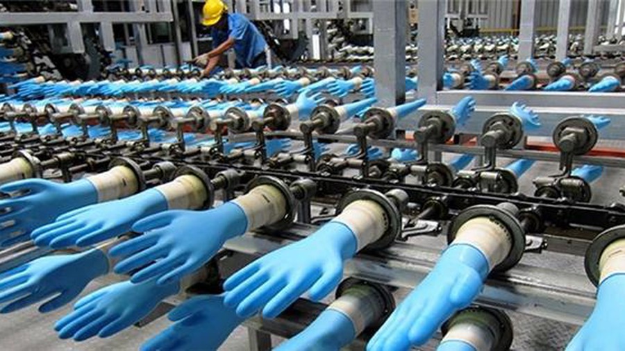 Ý tưởng mở xưởng sản xuất găng tay