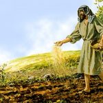 Những câu nói hay và ý nghĩa về sự gieo hạt gặt hái thành quả