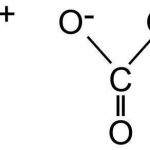 Cân bằng phản ứng KOH + NaHCO3 ra gì (và phương trình NaHCO3 + Ca(OH)2)